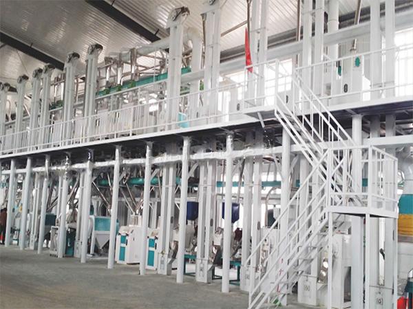 Automatic Corn Processing Line