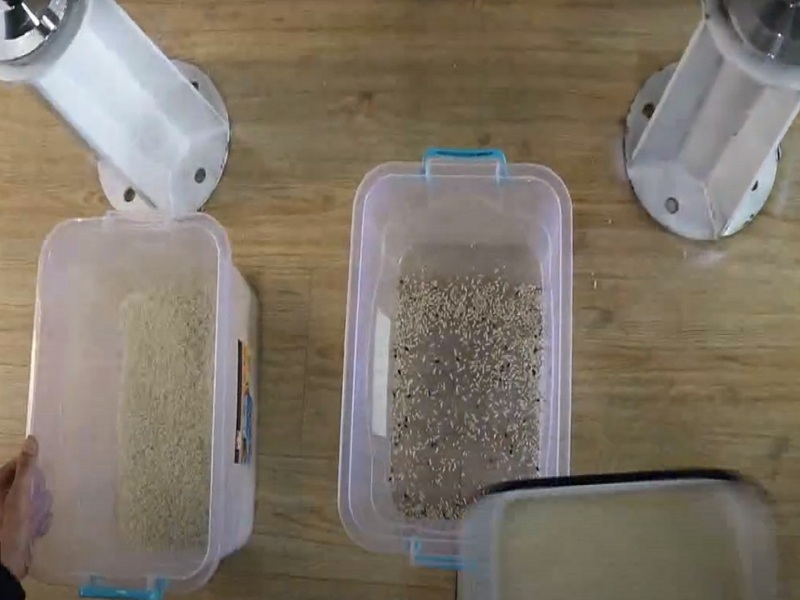 Rice color sorter