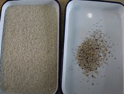 Rice color sorter